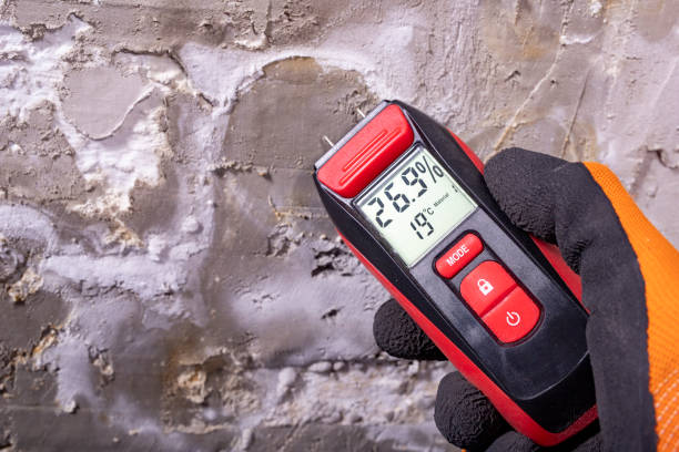 Fife, WA Mold Removal Company